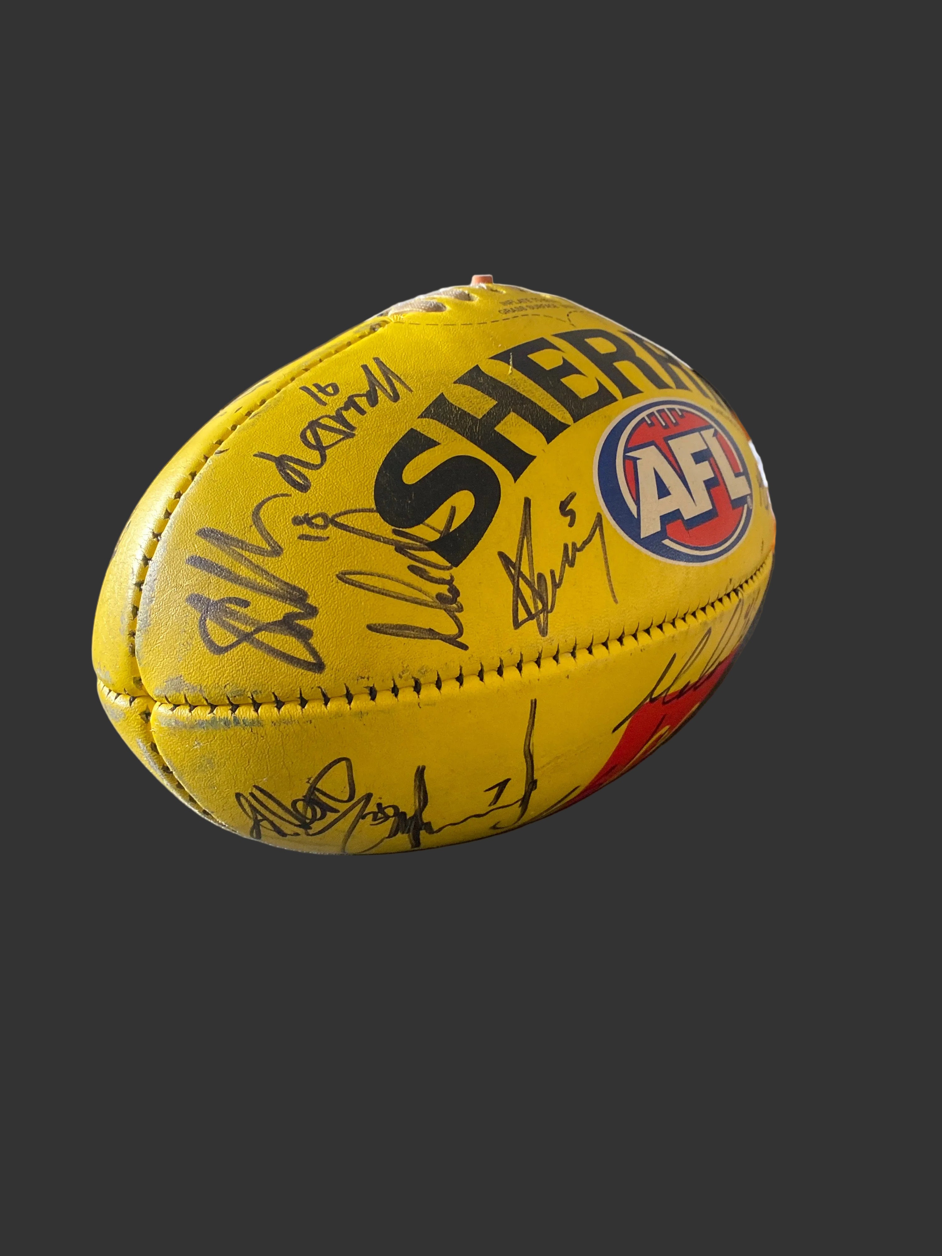 Carlton v Geelong Round 2-23rd Match 2023 Game Used and Signed Match Ball Melbourne Cricket Ground