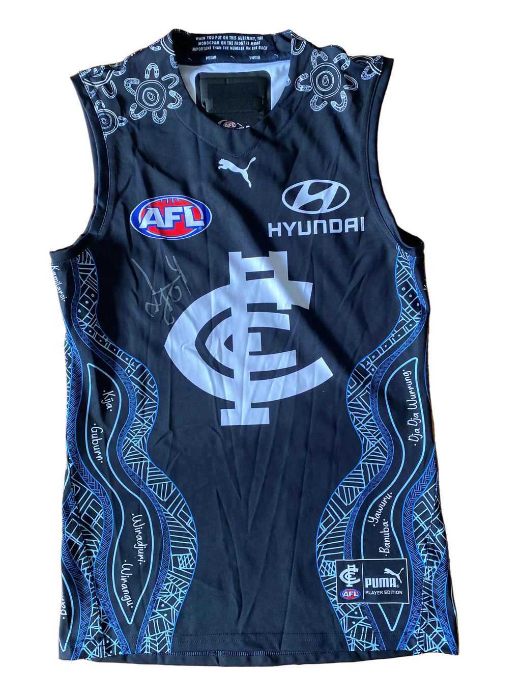 Limited Edition Authentic Signed Player Issued Guernsey Round 11 Sydney v Carlton SCG / Sunday 30 May 2021 Round 12 Carlton v West Coast SCG / Sunday 6 June 2021 Indigenous Player Issue Guernsey, 2021 Lochie O’Brian #4  1 of 1
