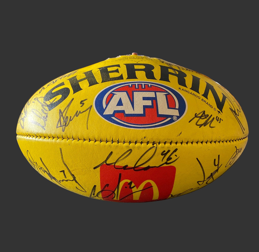 Carlton v Geelong Round 2-23rd Match 2023 Game Used and Signed Match Ball Melbourne Cricket Ground