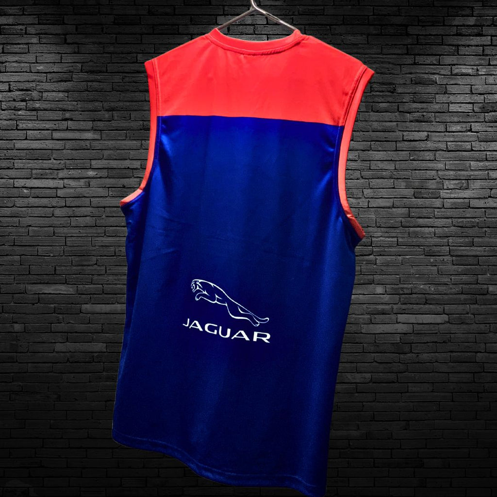Melbourne Official AFL Jersey