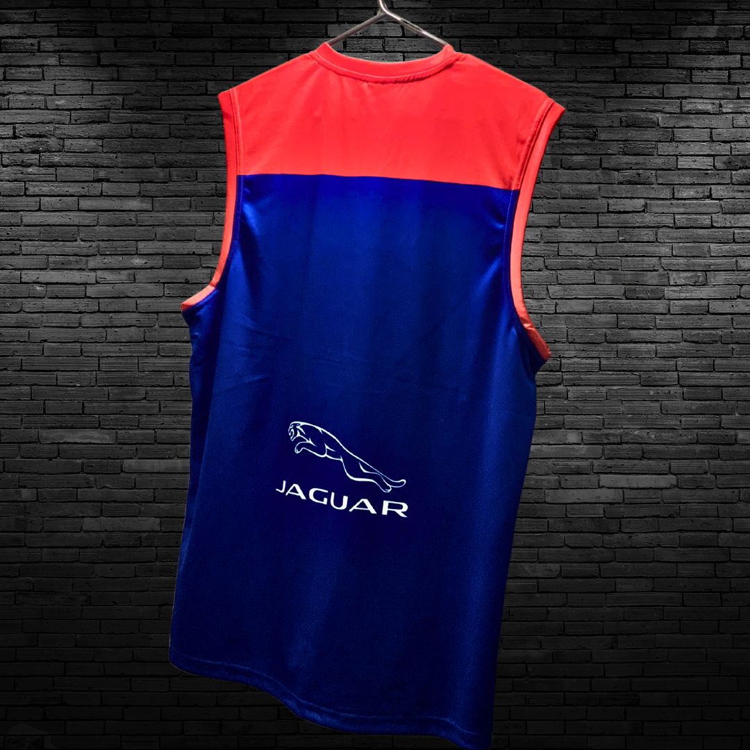 Melbourne Official AFL Jersey
