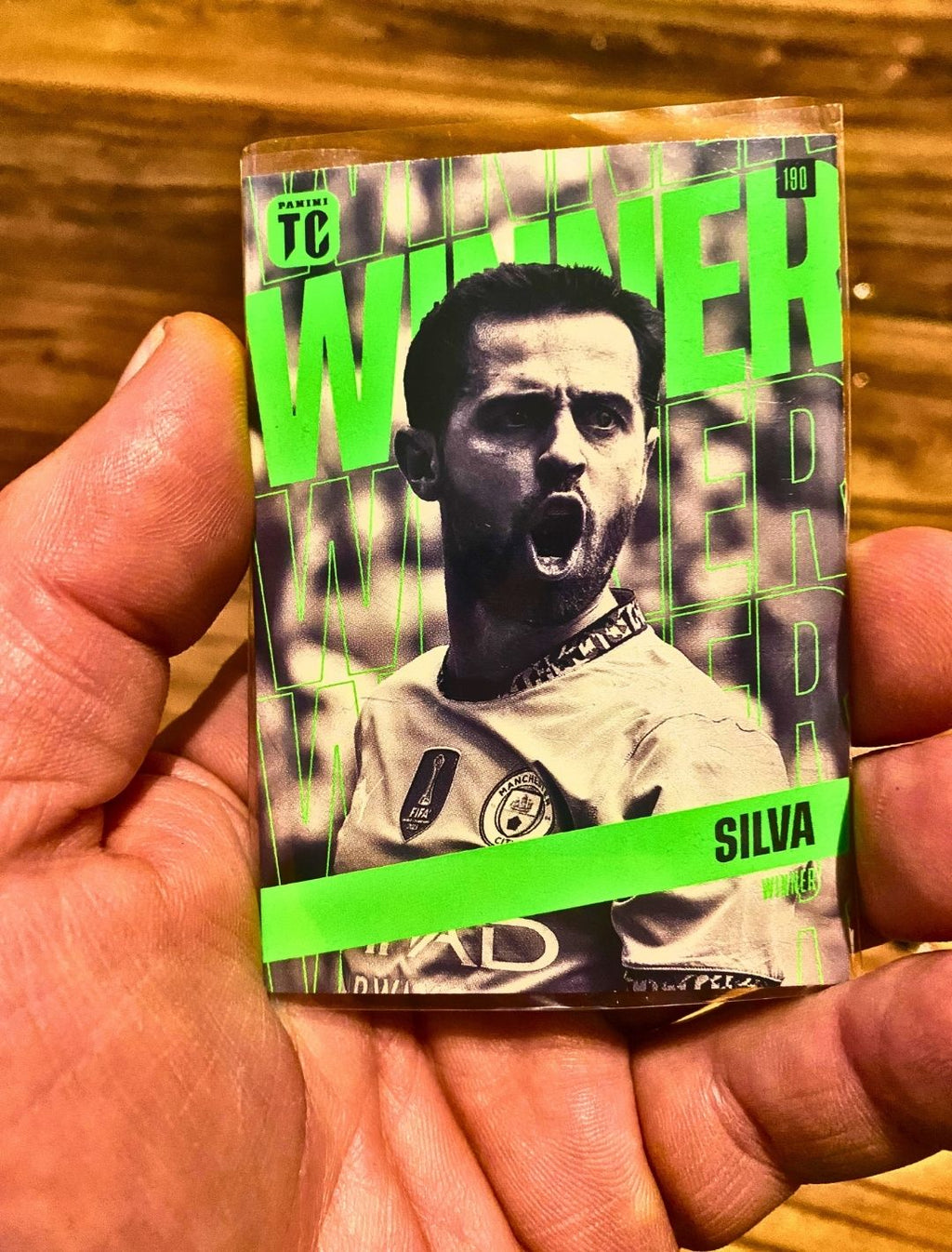 Panini Trading Card 190 - Gernado Silva No 20