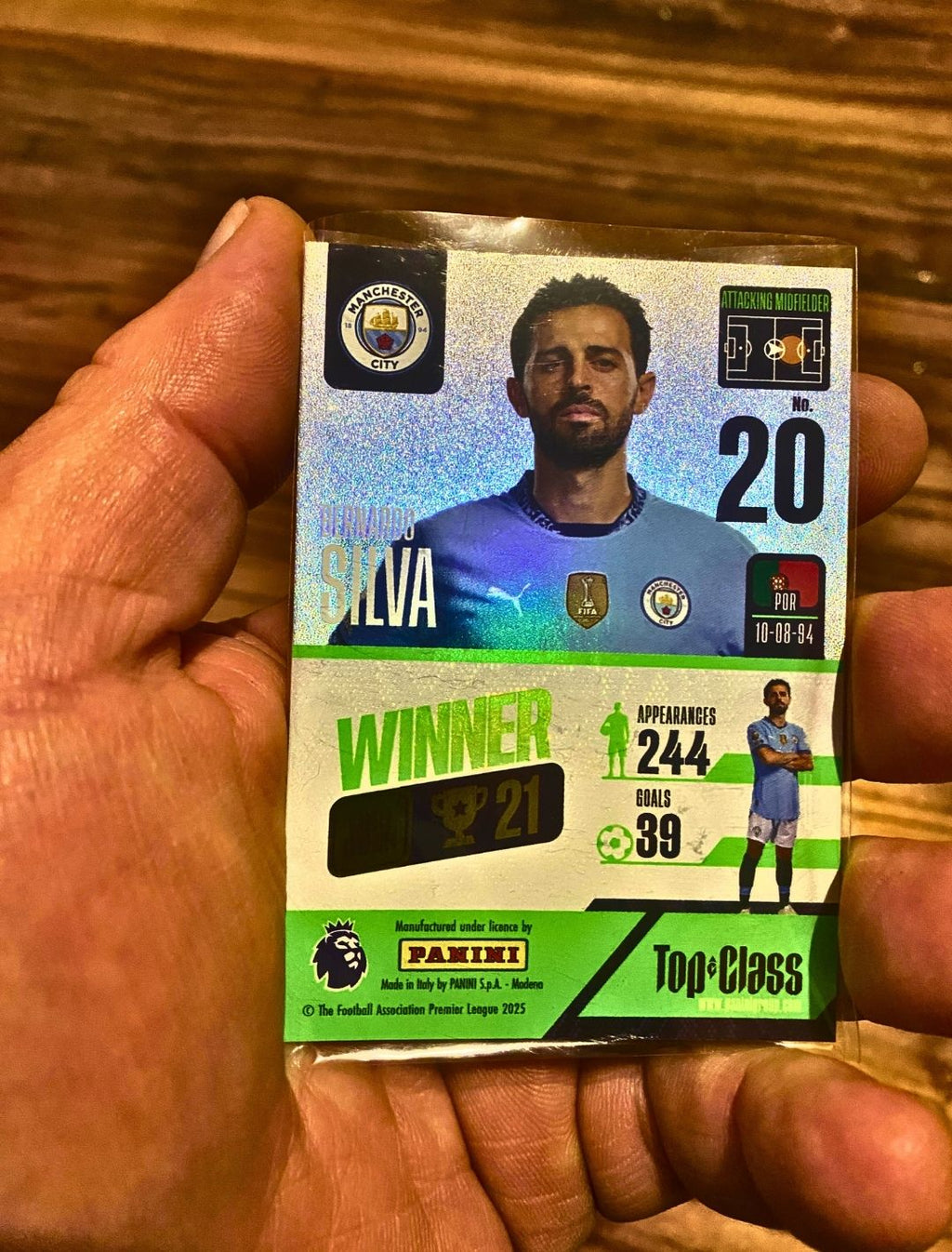 Panini Trading Card 190 - Gernado Silva No 20